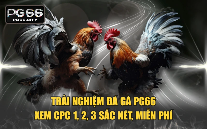 Đá Gà PG66