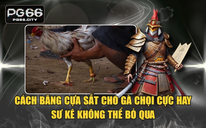 Cách Băng Cựa Sắt
